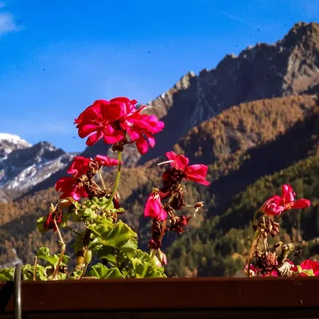 Casa Lana * 키에사인발마렌코